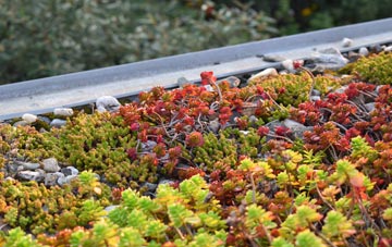 the cost of Cranmer Green green roof installation