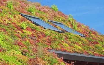 Cranmer Green living roof systems