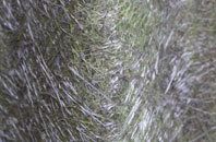 Cranmer Green fibreglass roof work