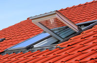 Cranmer Green roof window